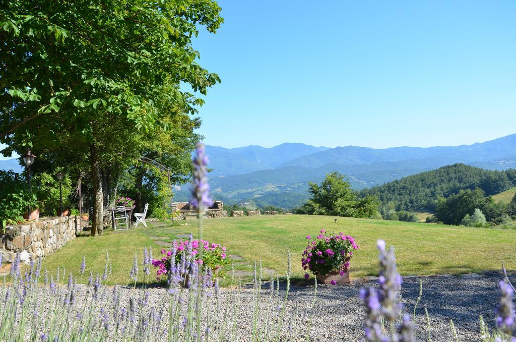 CompianoCasale Sambuceto住宿加早餐旅馆 外观 照片